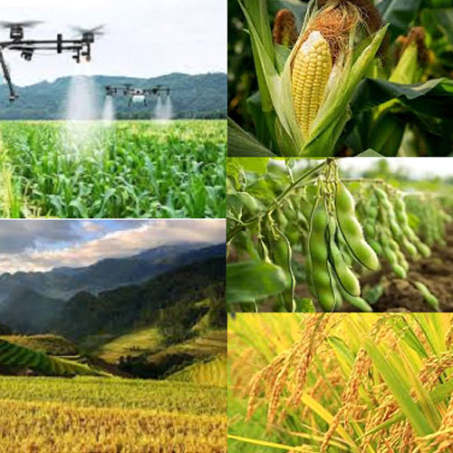 agriculture-1