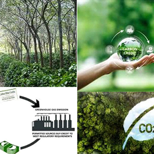agroforestry-1