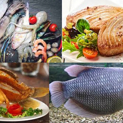 fishery-1